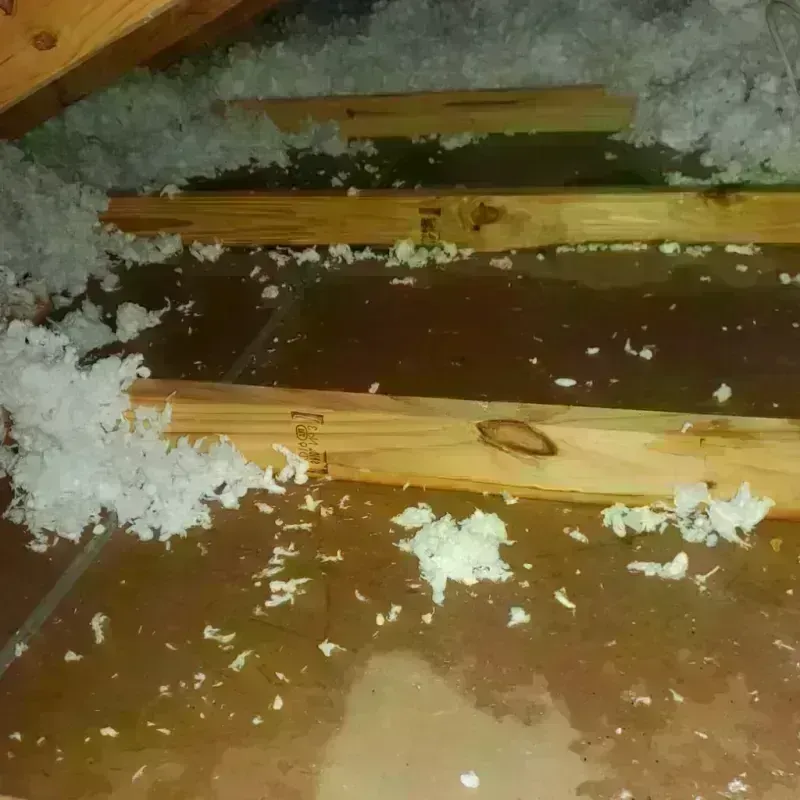 Attic Water Damage in Gering, NE